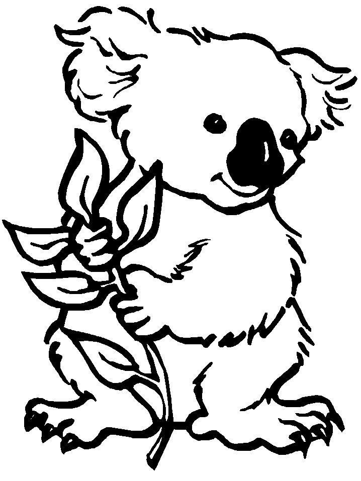 Koala Coloring Pages | Clipart library - Free Clipart Images