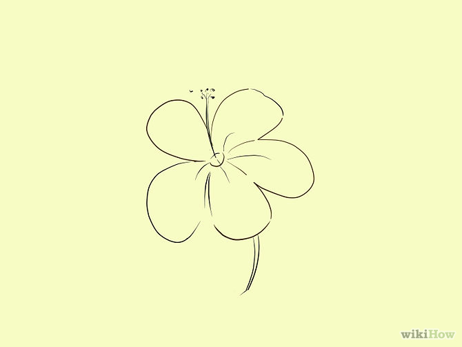 2 Easy Ways to Draw a Cartoon Hibiscus Flower - wikiHow