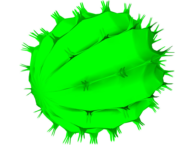Barrel Cactus 3D Model Download | 3D CAD Browser