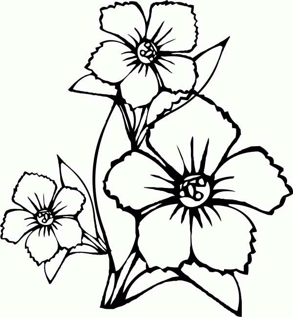 Featured image of post Easy Flower Drawing With Colour For Kids - You can decorate the symbol with colors of your choice and add some flowers and leaf rings around it to add to its beauty.