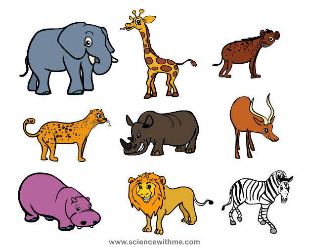 Learn about Safari Animals - Science for Kids and Science 