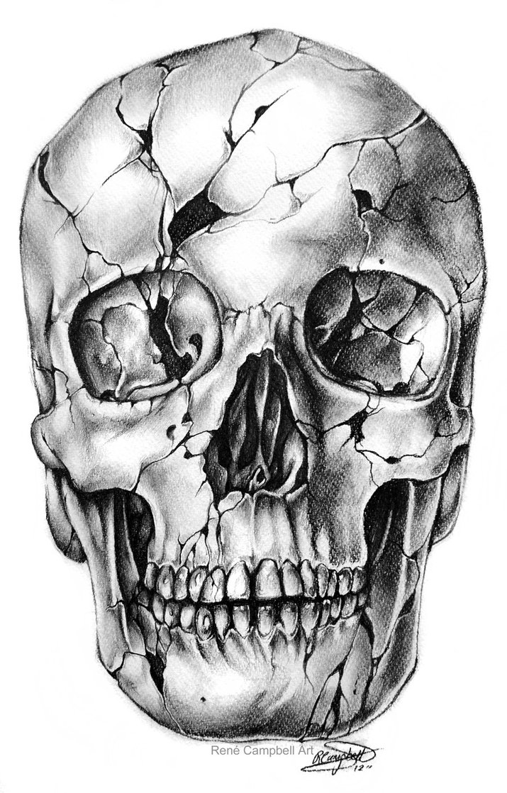 skull drawings by rene campbell | Tumblr
