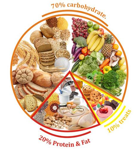 Healthy And Balanced Diet Chart