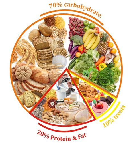 Food Categories Chart