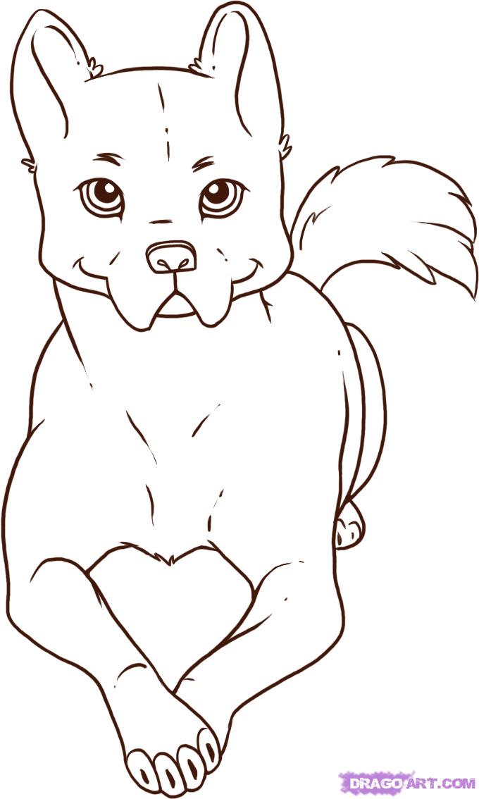 Featured image of post Puppy Easy Drawings Of Animals / Practice drawing a dog&#039;s expression.