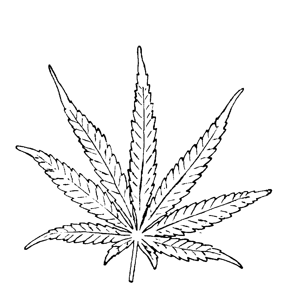 Marijuana Leaves Drawings - quoteko. - Clipart library - Clipart library