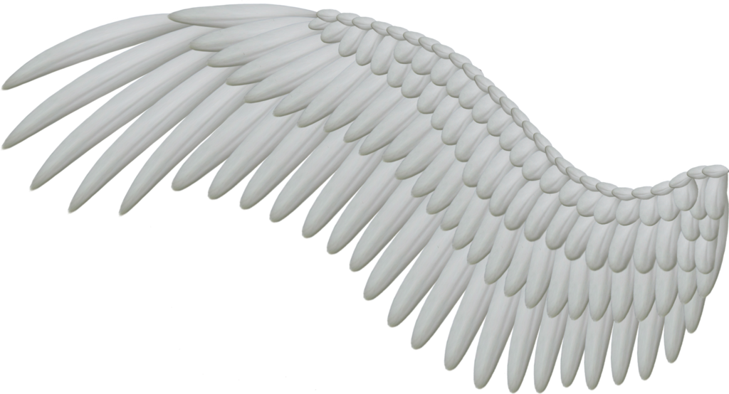 Clipart library: More Like Good and Evil Angel Wings PNG by Thy-Darkest 