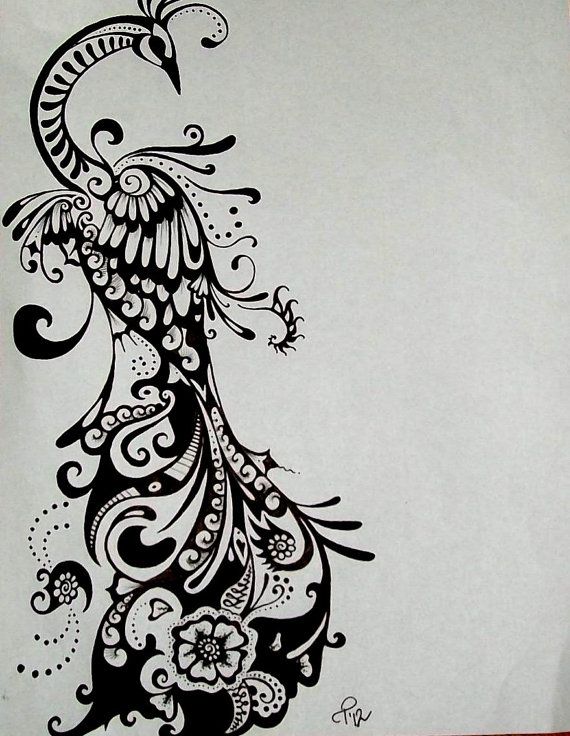 Peacock Drawing Ink Tattoo Design COMMISSIONED Tattoo in Black  White