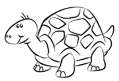 How to Draw a Turtle - HowStuffWorks