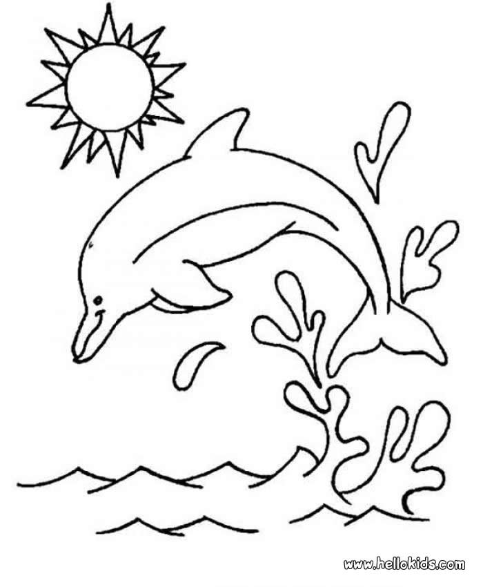 Dolphin Images For Kids - AZ Coloring Pages