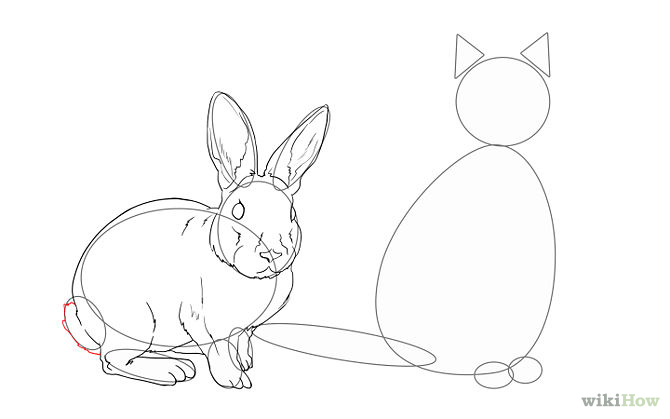 coloring page baby animals - Clip Art Library