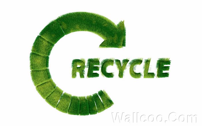 Greenpeace Eco Friendly Symbols Made of Grass -