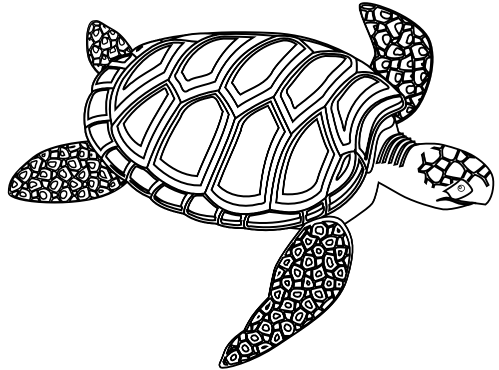 Sea Turtle Clipart Black And White | Clipart library - Free Clipart 
