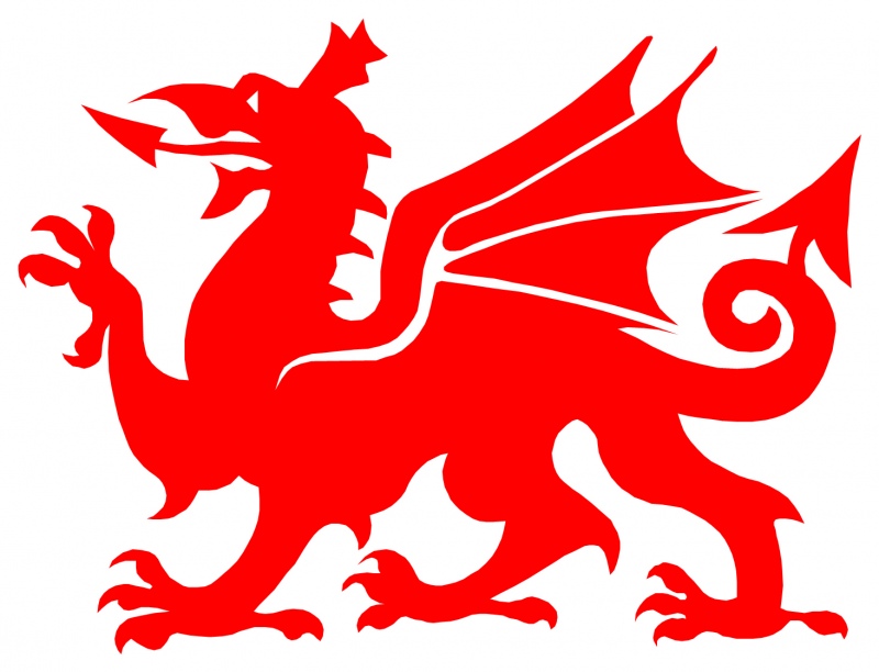 Welsh Dragon Pictures
