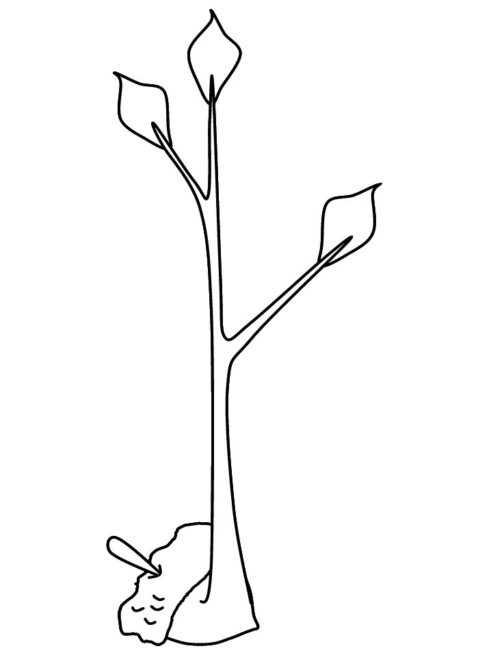 Trees coloring pages | Coloring-