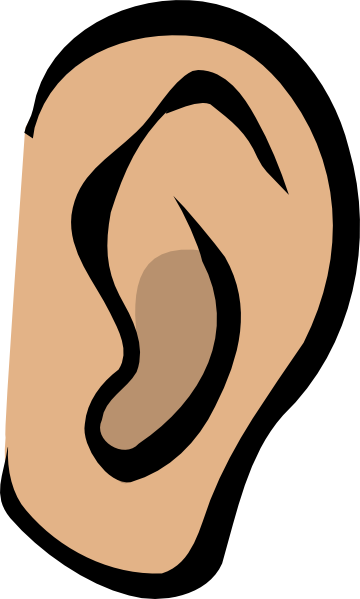 Free Image Of The Ear, Download Free Image Of The Ear png images, Free  ClipArts on Clipart Library