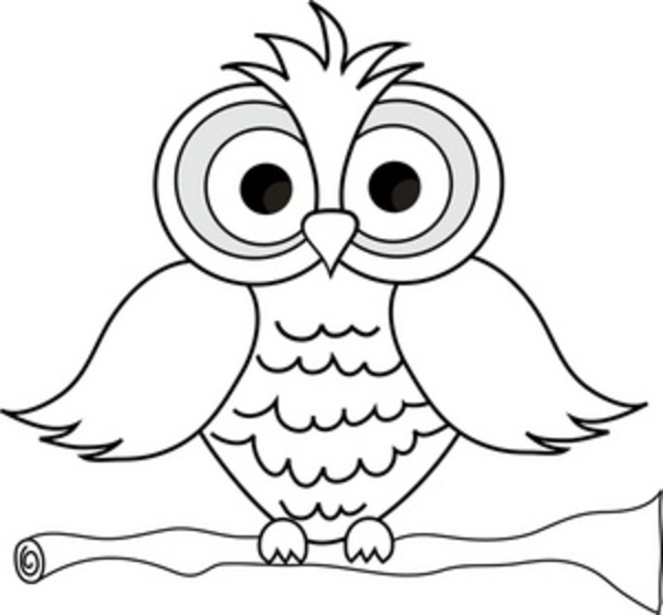 Wise Owl With Big Eyes On A Tree Limb In Black And White Smu image 