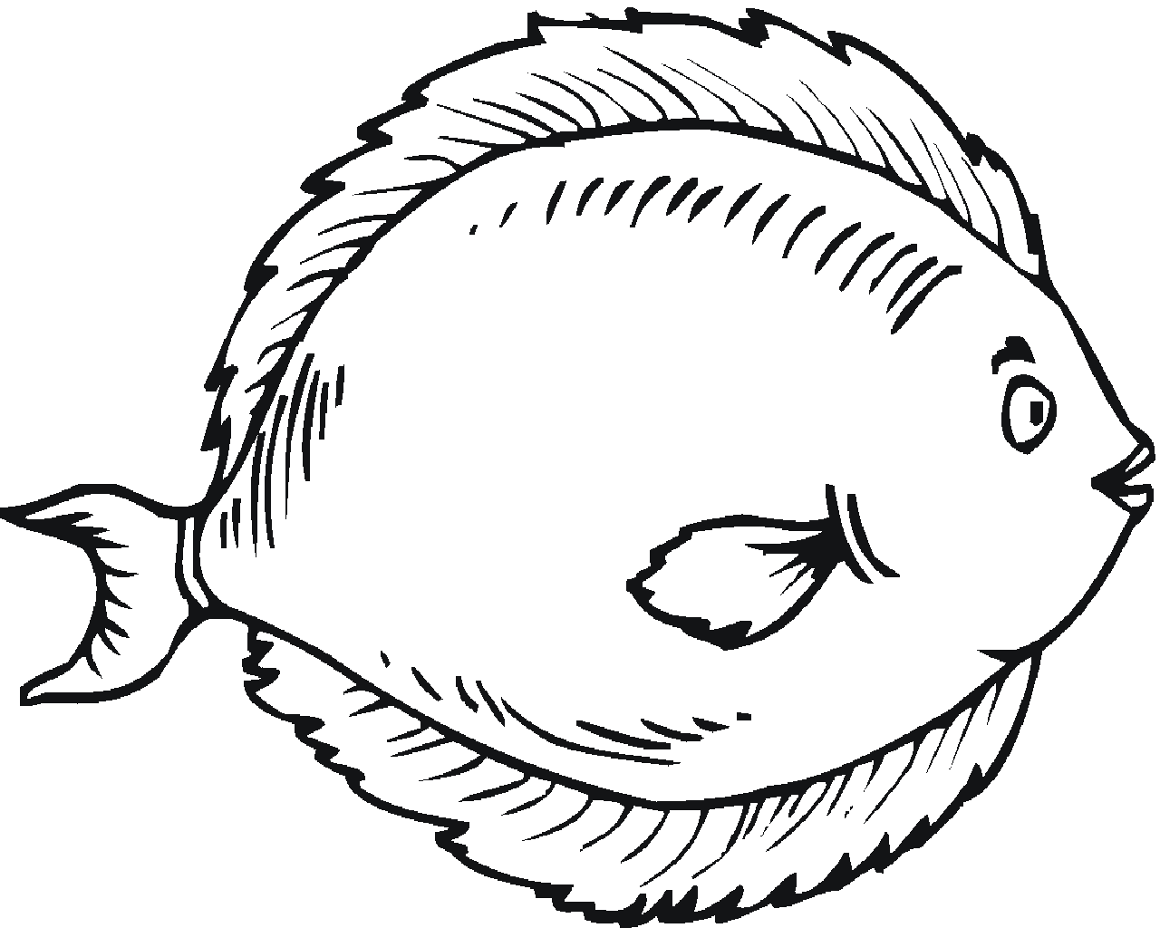 Line Drawing Of A Fish - Clipart library