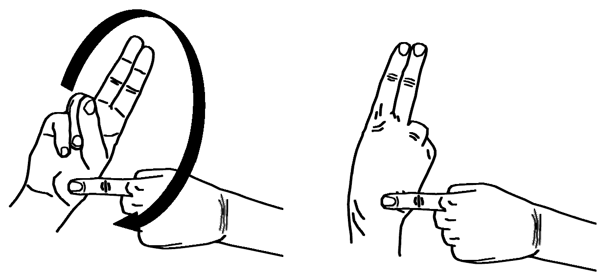 gymnastics American Sign Language (ASL)