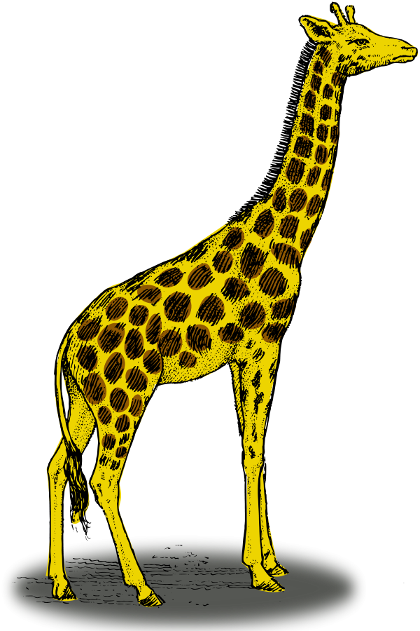 Colored giraffe small clipart 300pixel size, free design 