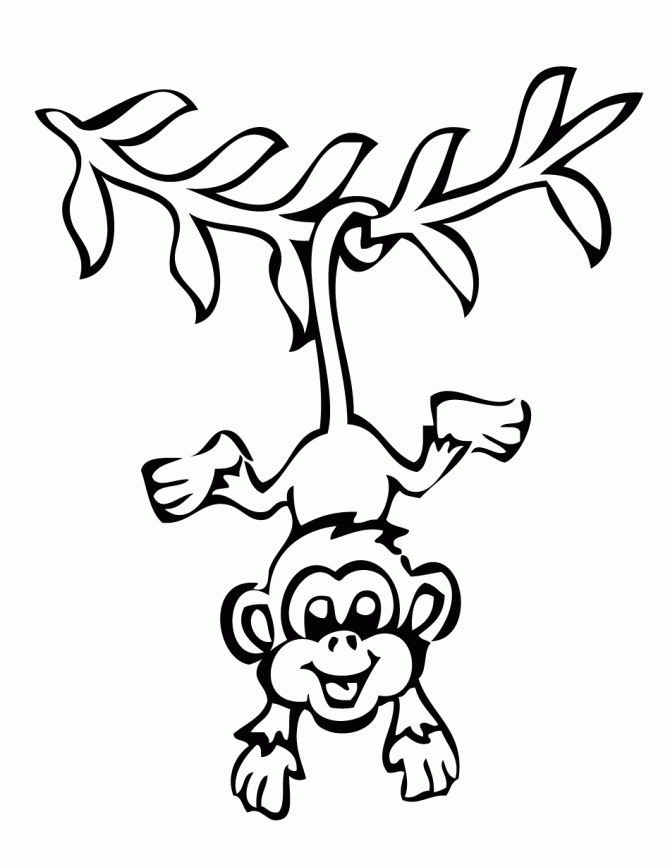 Hanging Monkey Drawing Images  Pictures - Becuo
