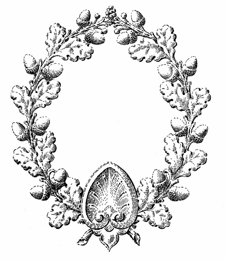 oak leaf clip art - Google Search | The Pennfield Files | Clipart library