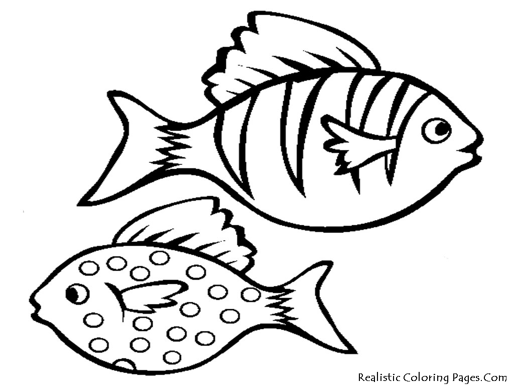 Free Simple Fish Drawing For Kids Download Free Clip Art