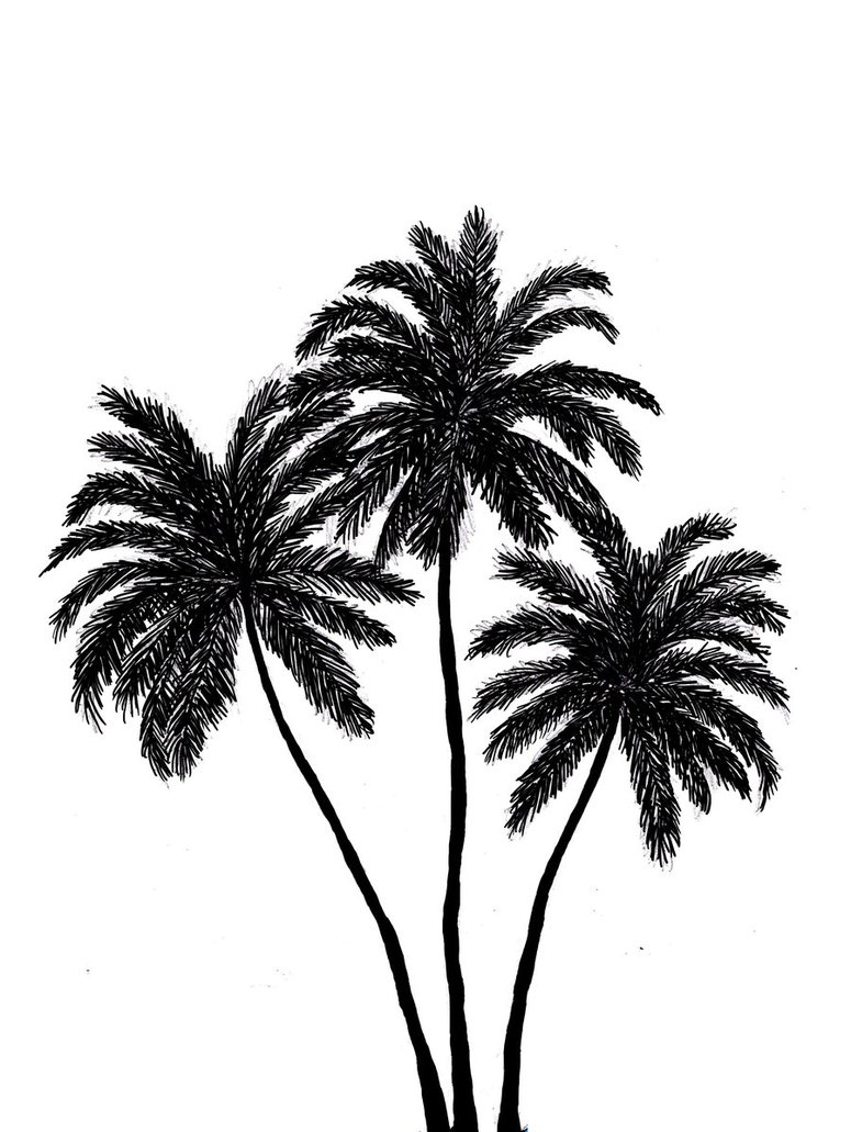 Palm Trees Silhouette by disasterDamsel on Clipart library