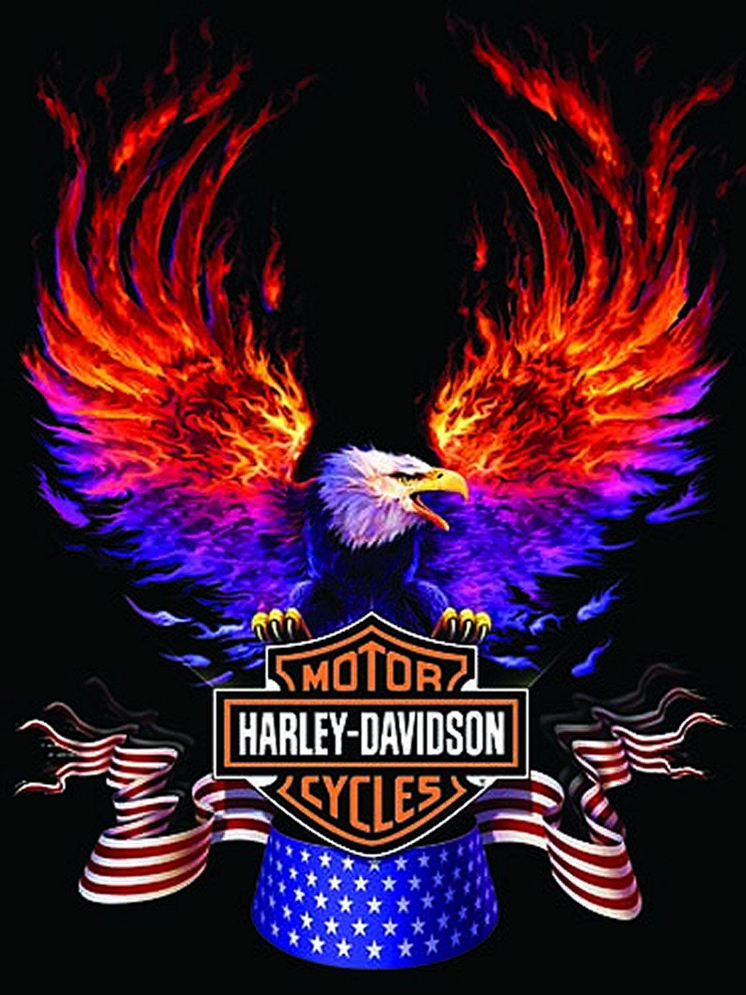 Free Logo Harley-davidson, Download Free Logo Harley-davidson png