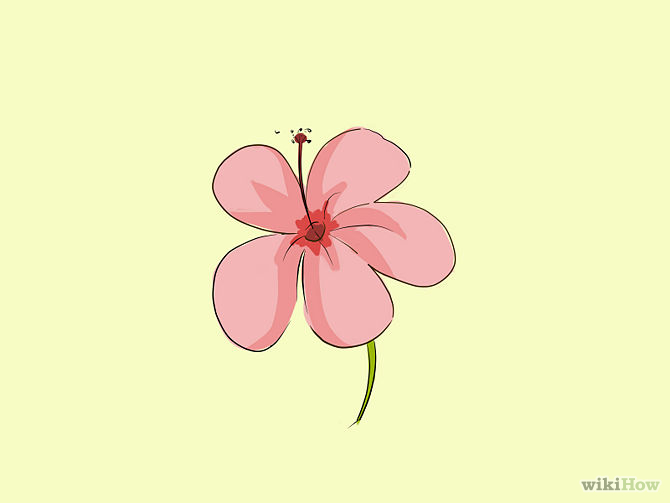 2 Easy Ways to Draw a Cartoon Hibiscus Flower - wikiHow