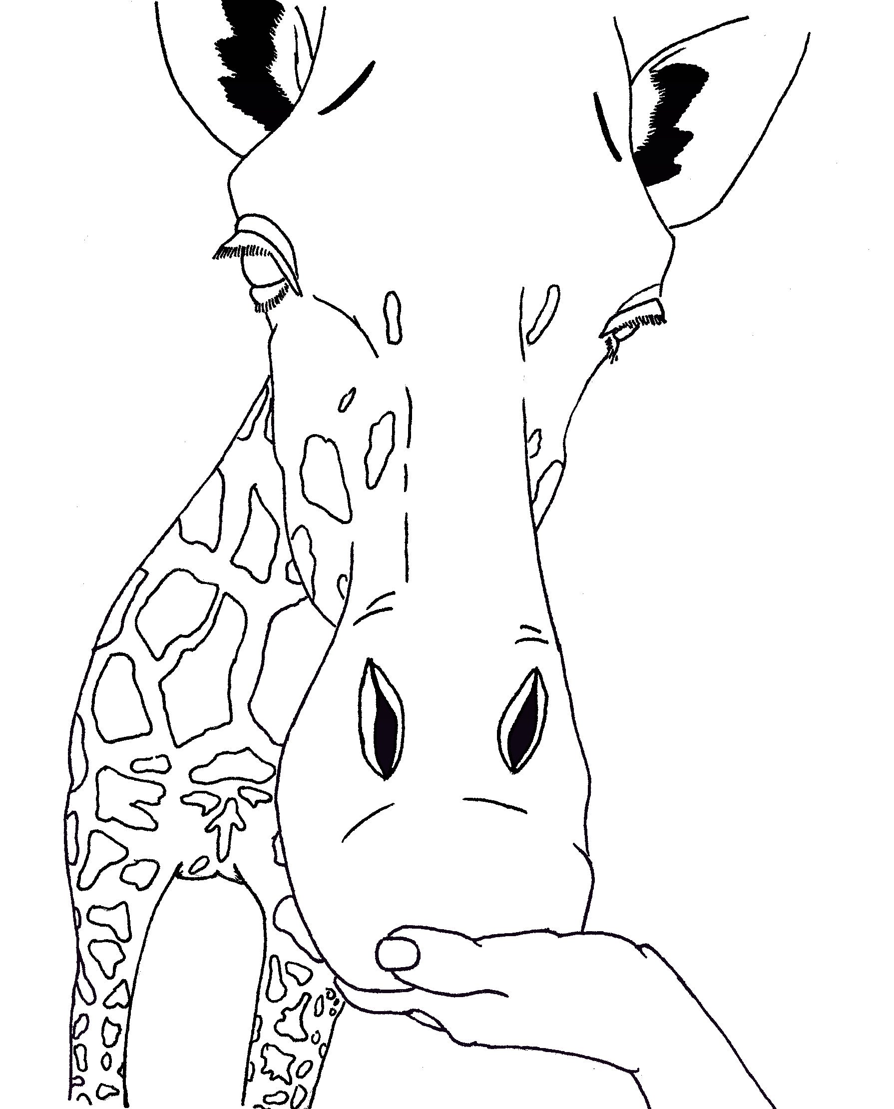 Coloring-Page-of-Giraffe-Face