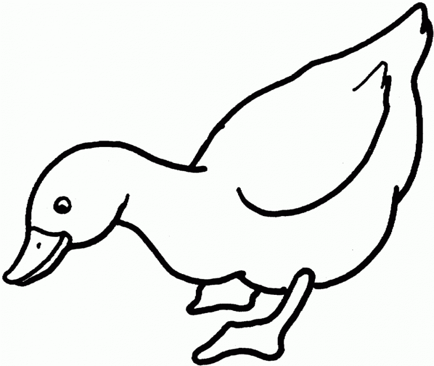 Free Duck Template Download Free Duck Template Png Images Free Cliparts On Clipart Library