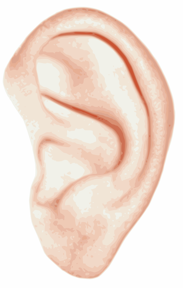 OnlineLabels Clip Art - Human Ear