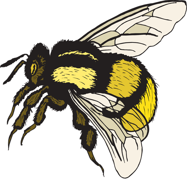 Bumble Bee - Clipart library - Clipart library
