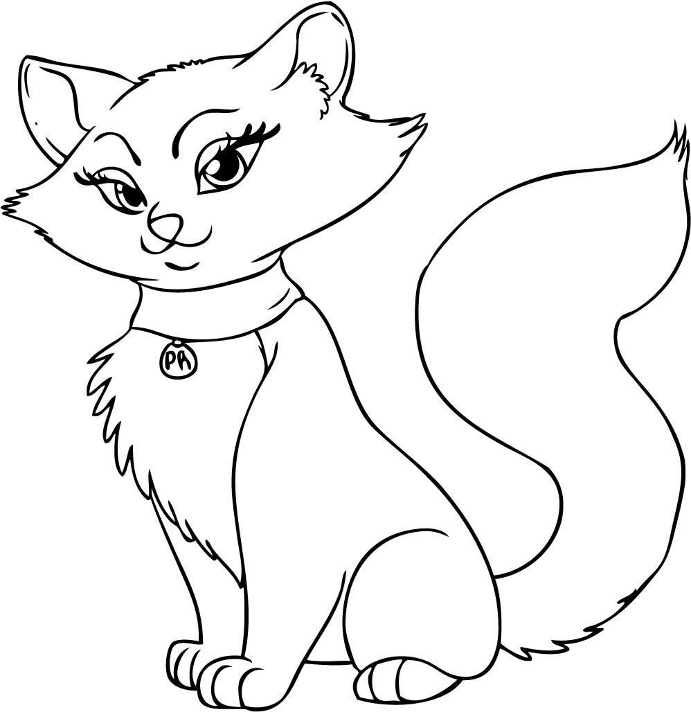 How To Draw A Cartoon Cat Step image - vector clip art online 