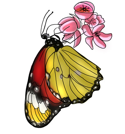 FREE Butterfly Clip Art 22
