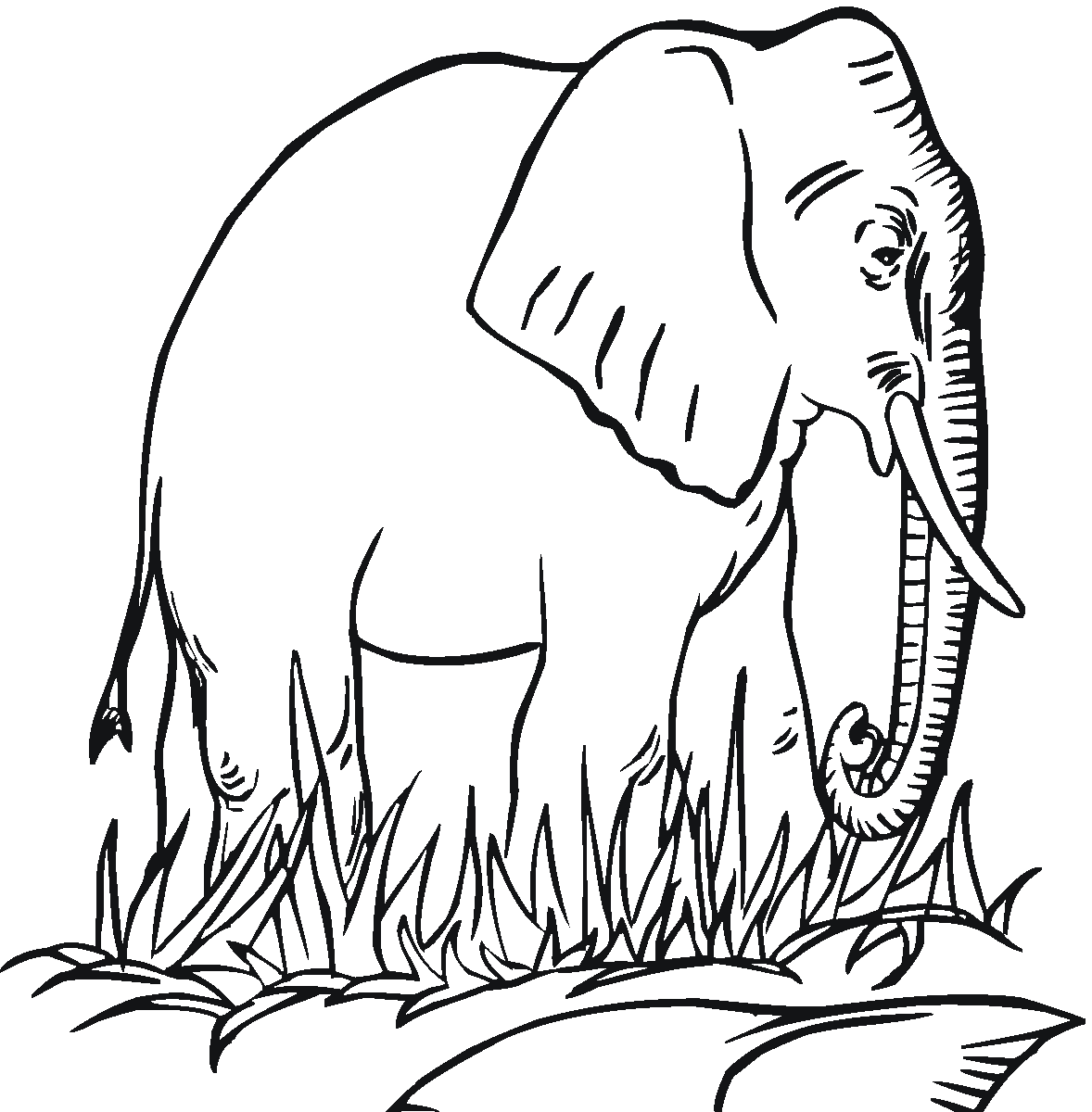Elephants Pictures For Kids - Clipart library