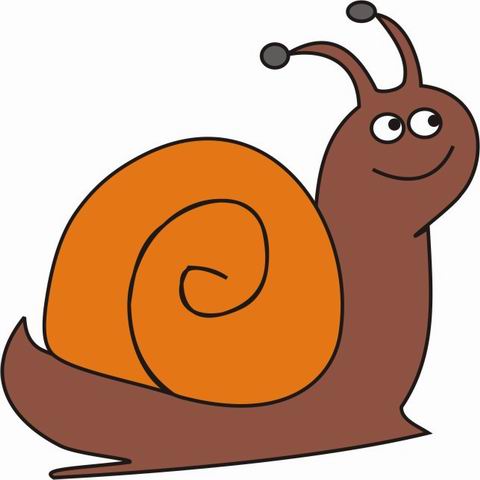 Snail Cartoon 