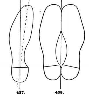 outline-of-soles-of-prof- 