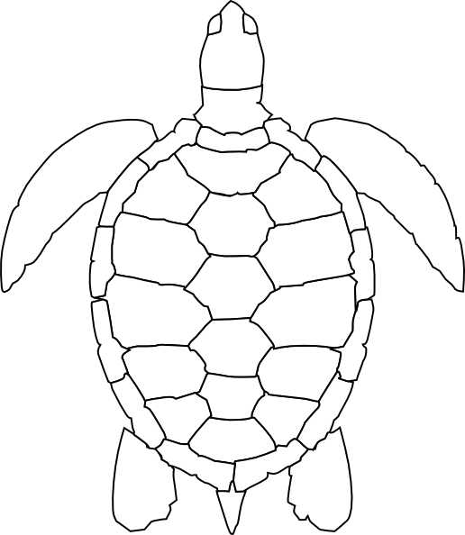 Turtle Outline clip art - vector clip art online, royalty free 
