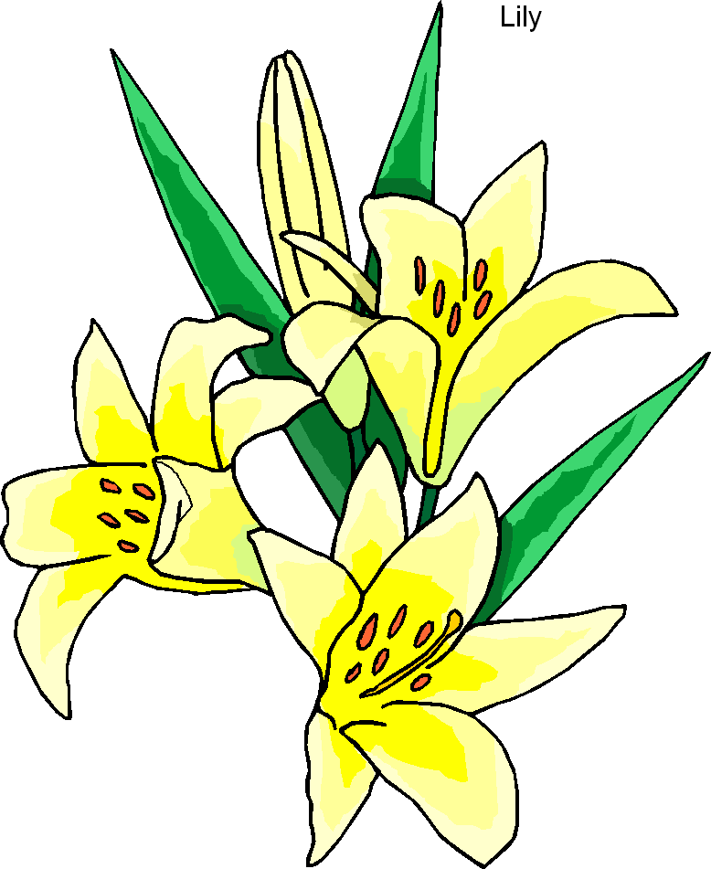 lily flower clip art free - photo #16