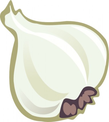 Onion garlic vector clip art Free vector for free download (about 