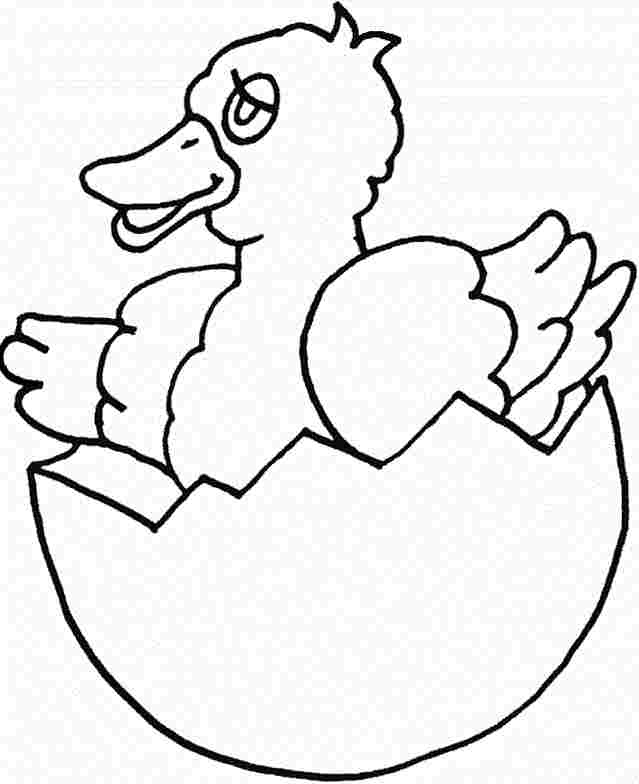 Coloring Sheets Easter Chick Printable Free For Kids #16773.