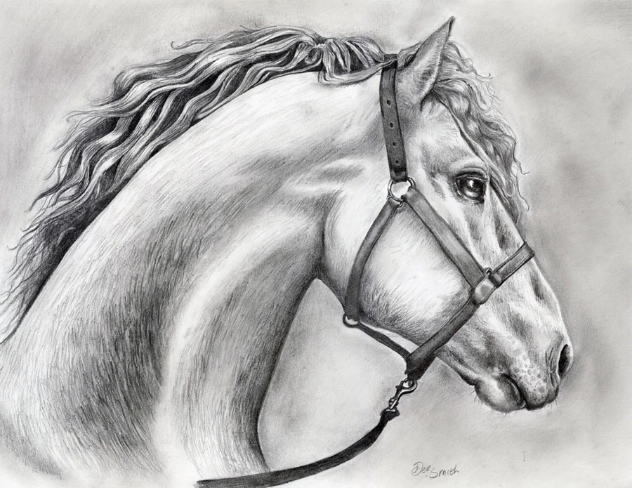 Significance Of Horse Drawings