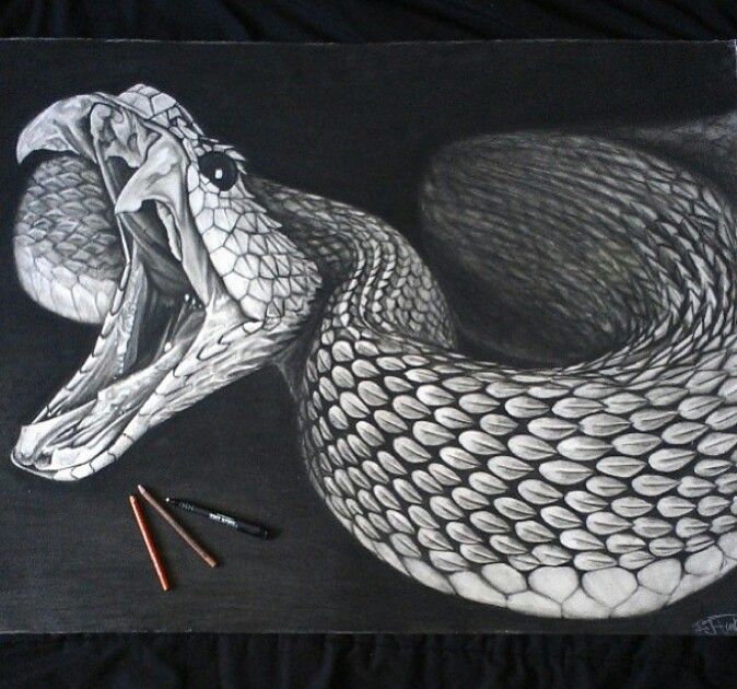 Featured image of post Snake Head Realistic Snake Drawing Easy Many species of snakes have skulls