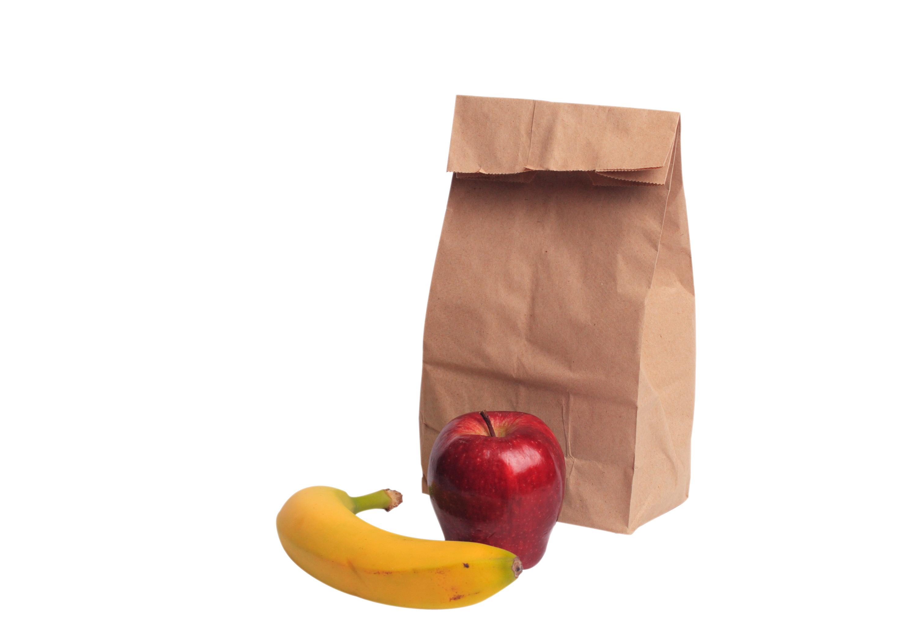 free brown bag lunch clipart - photo #11