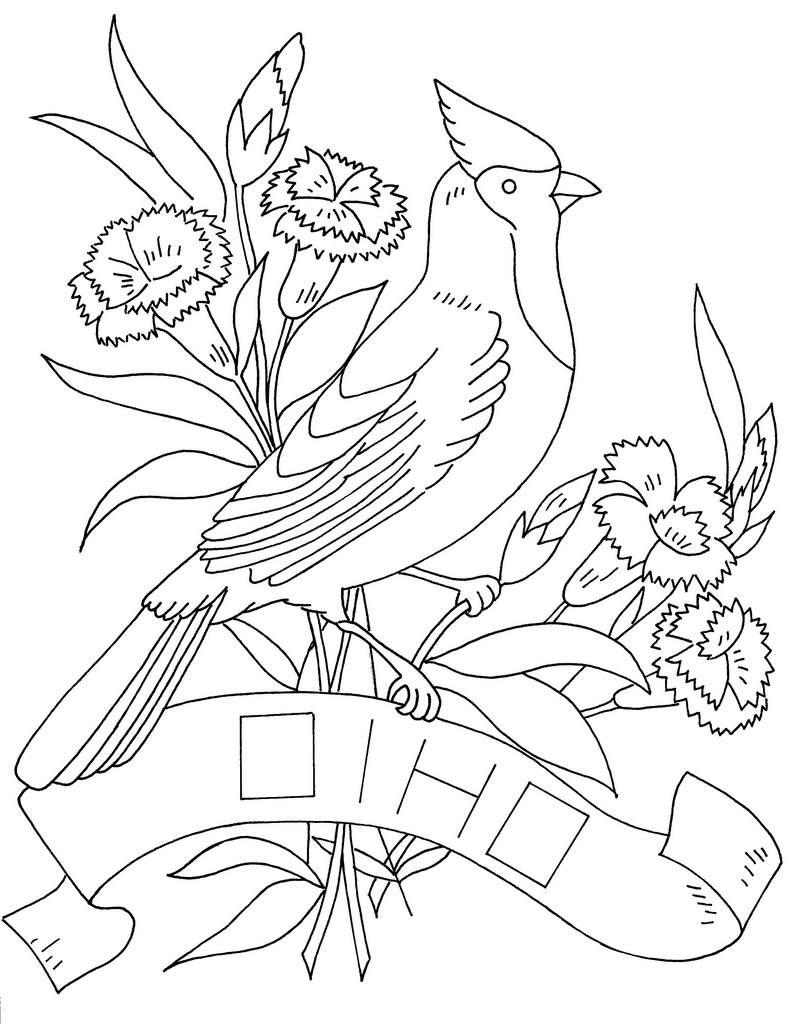 ohio state bird coloring pages - photo #10