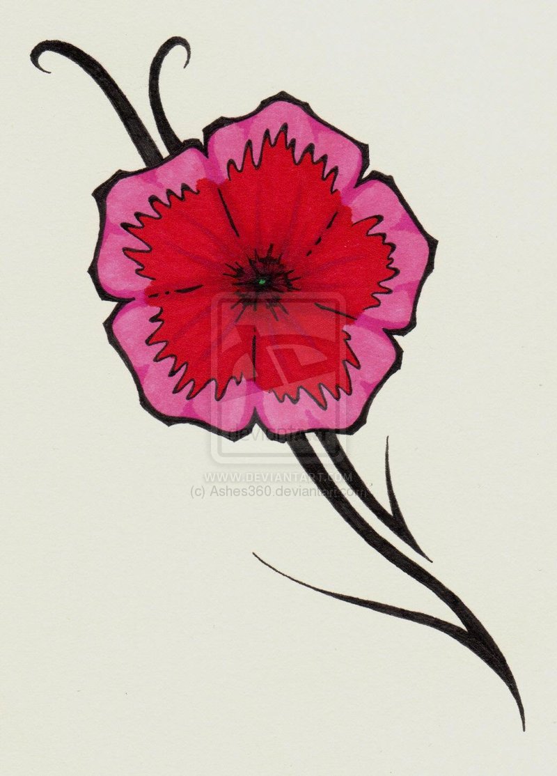 Lotus Flower Sketch