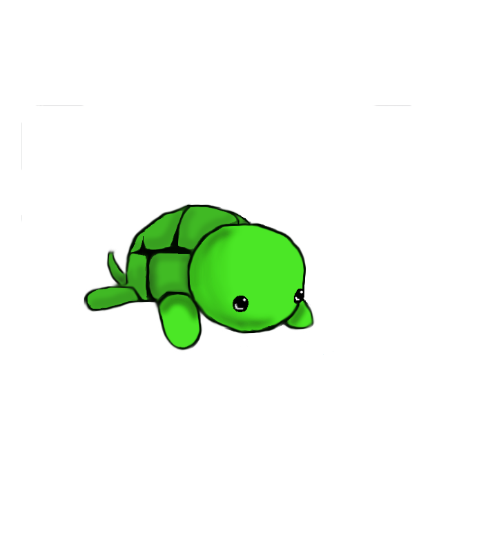 Cute Turtle Drawing - Gallery