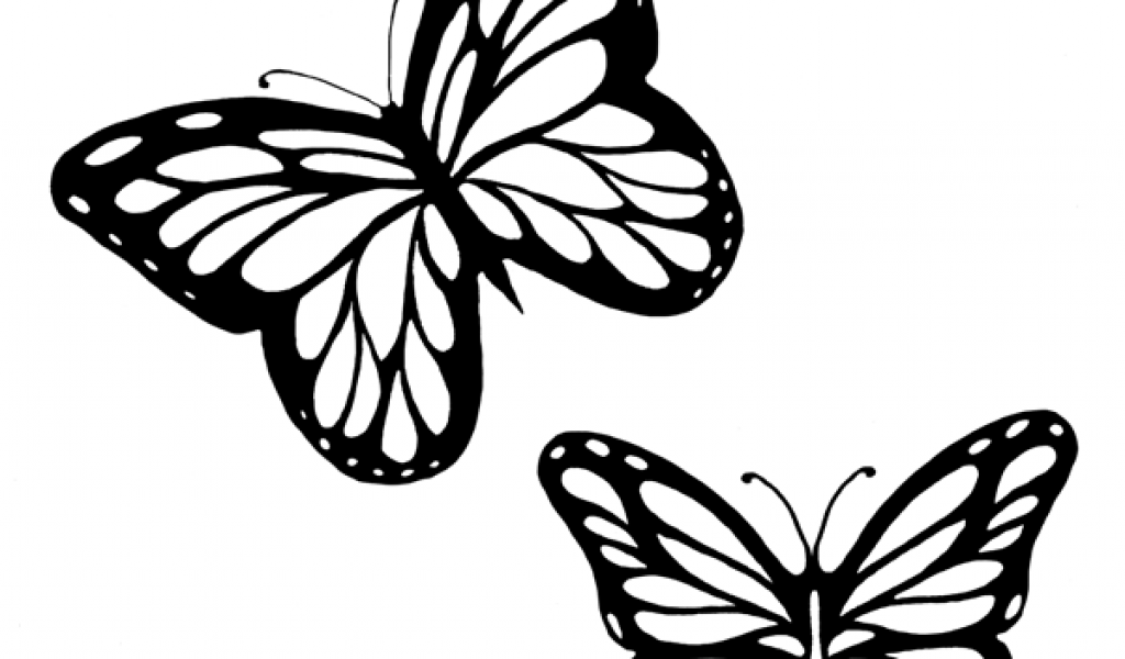Showing Gallery For Flying Monarch Butterfly Outline Clipart 